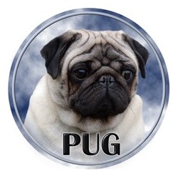 Mops