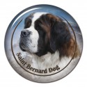 St. Bernardshund