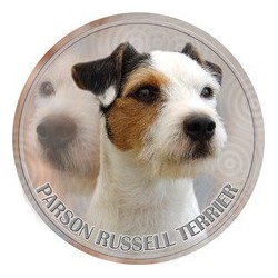 Parson Russell Terrier