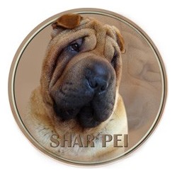 Shar Pei