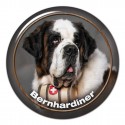St. Bernhardhund