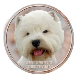 West Highland White Terrier