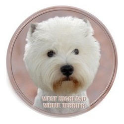 West Highland White Terrier