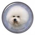 Bichon frisé
