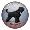 Russian Black Terrier