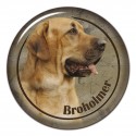 Broholmer