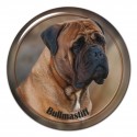 Bullmastiff