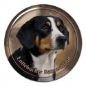 Entlebucher Sennenhund