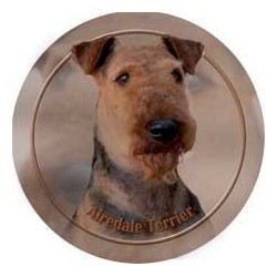 Airedale terier