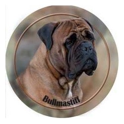 Bullmastiff