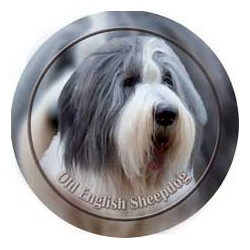 Old English Sheepdog