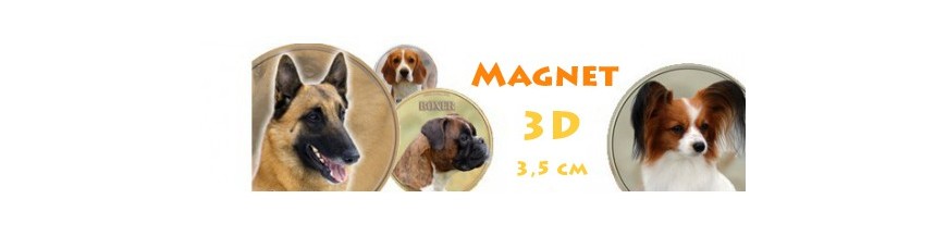 3D Magnet