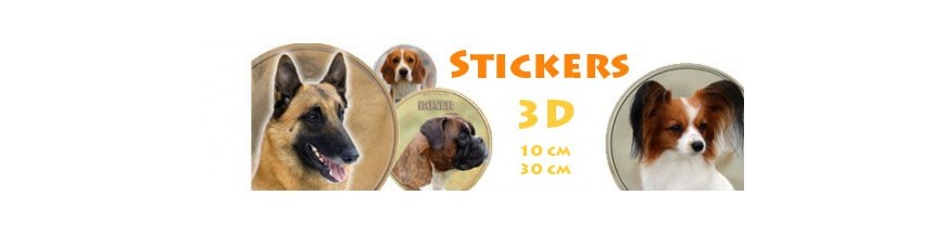 3D Stickers